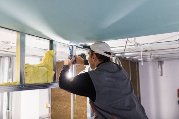 Best Insulation Removal  in Calumet City, IL